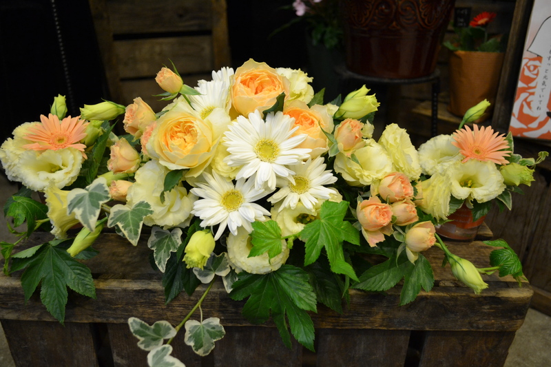 �L���[�g�S