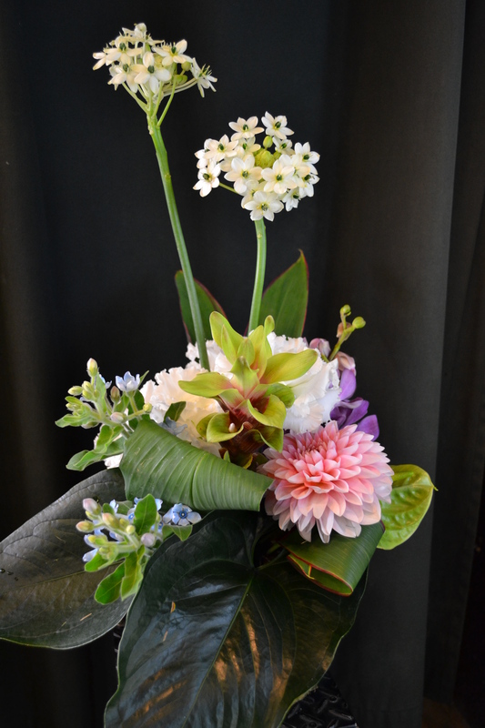 �G���K���g�P�R