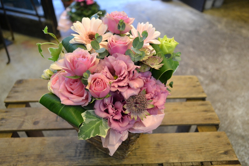 �L���[�g�W