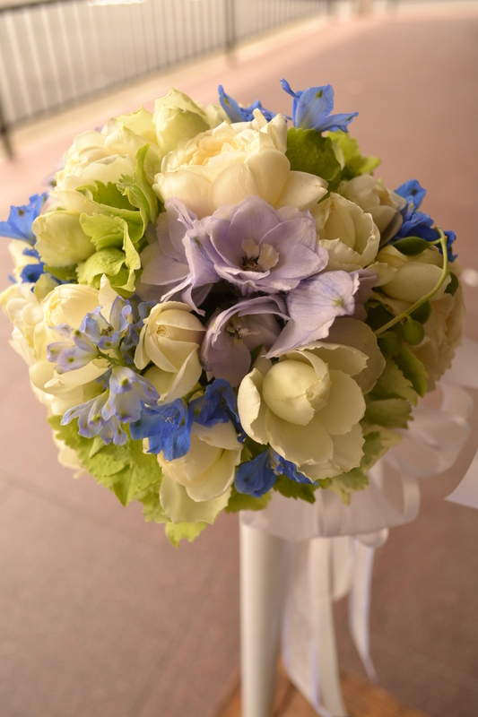 ���E���h�u�[�P�S