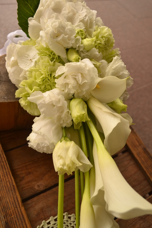 �N���b�`�u�[�P�P